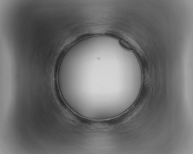 X0000112400681200908141006