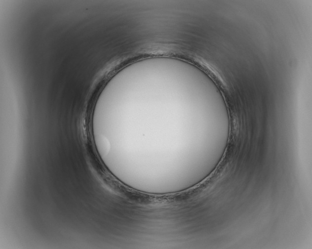 X0000112400682200908141006