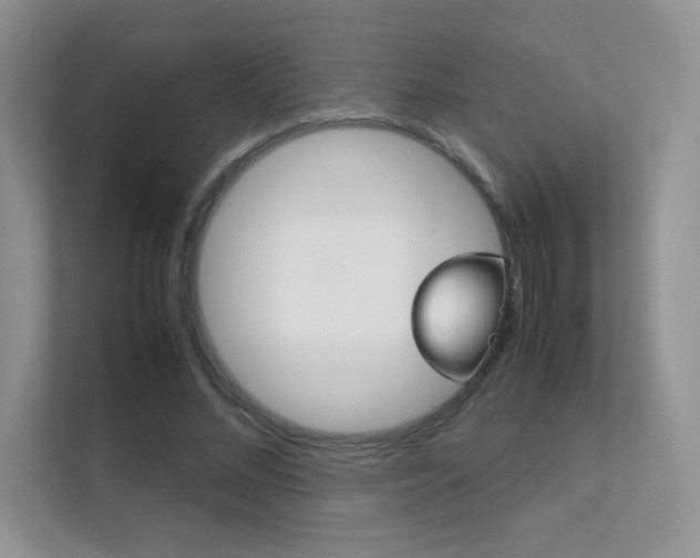 X0000112400684200908141006