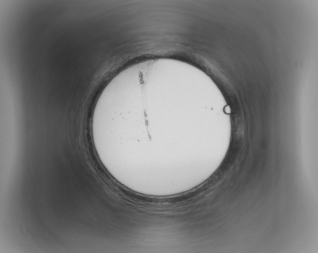 X0000112400685200908141006