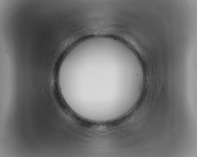 X0000112400687200908141006