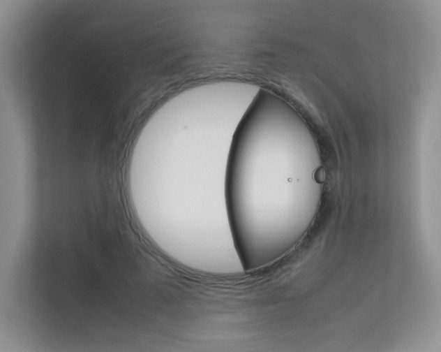 X0000112400689200908141005