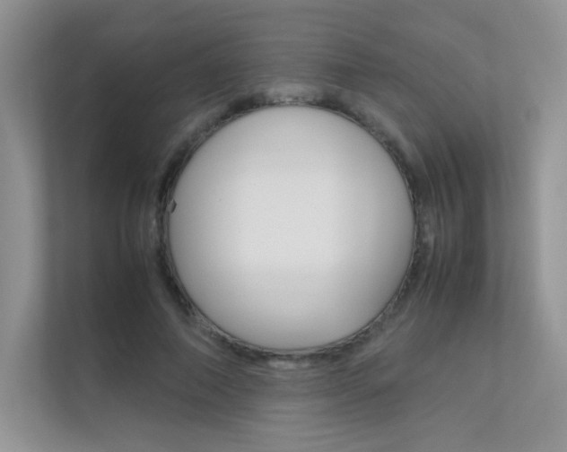 X0000112400690200908141005