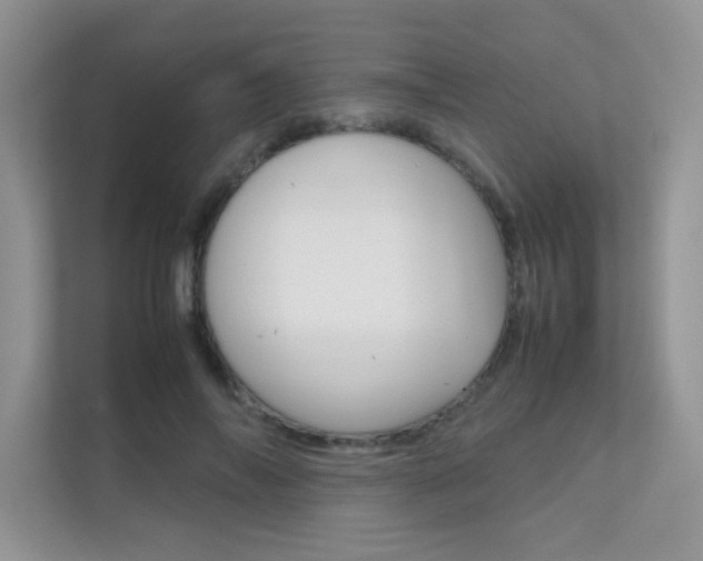 X0000112400694200908141005