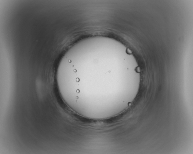X0000112400695200908141005