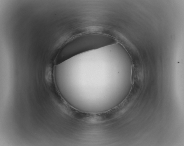 X0000112400696200908141005