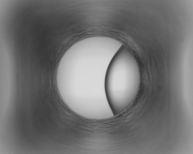 X0000112400697200908141005