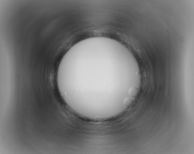 X0000112400698200908141005