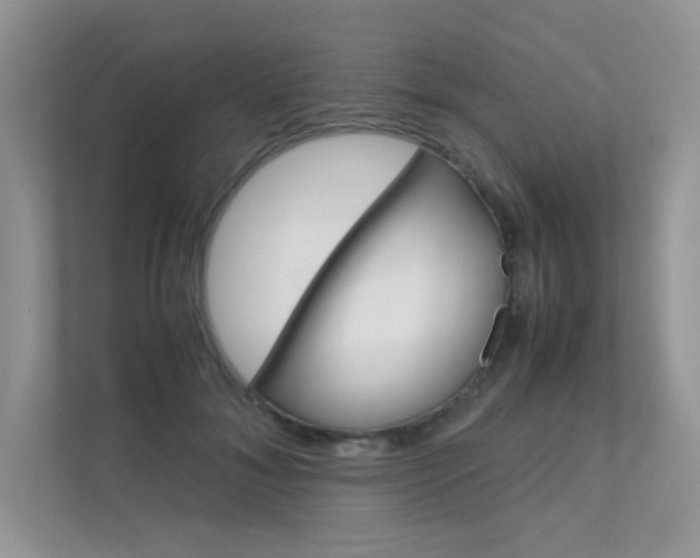 X0000112400700200908141005