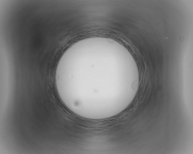 X0000112400701200908141005