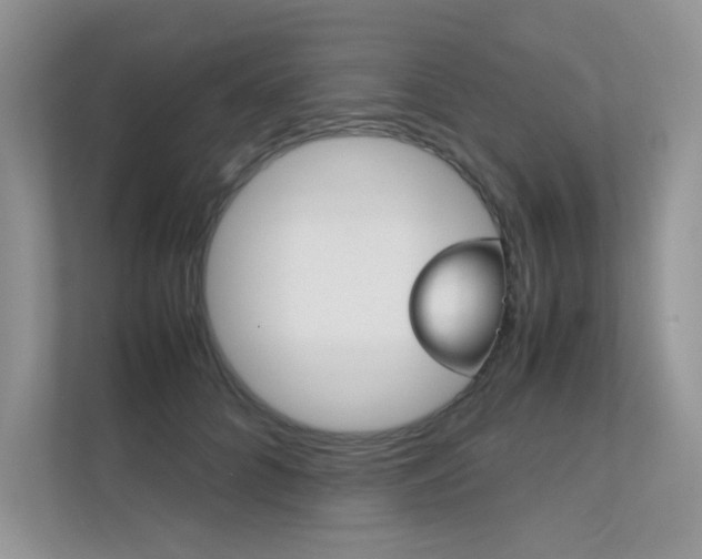X0000112400704200908141005
