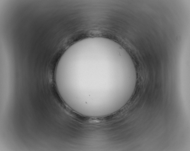 X0000112400706200908141005