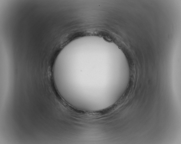 X0000112400707200908141005