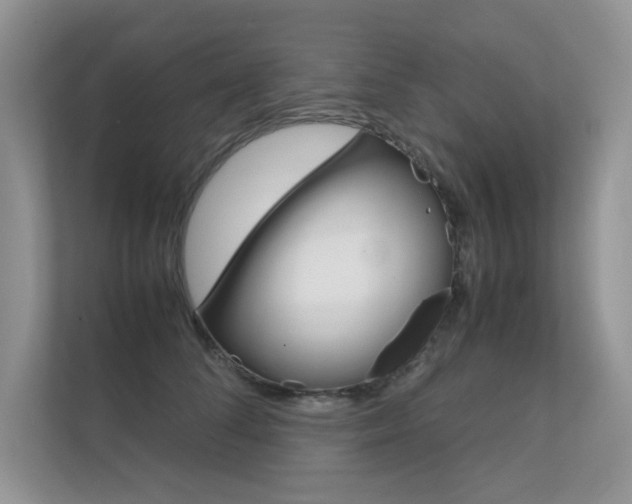 X0000112400708200908141005