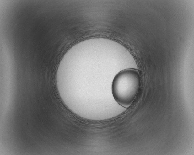X0000112400709200908141005