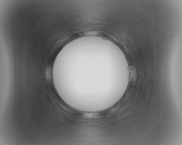 X0000112400713200908141005