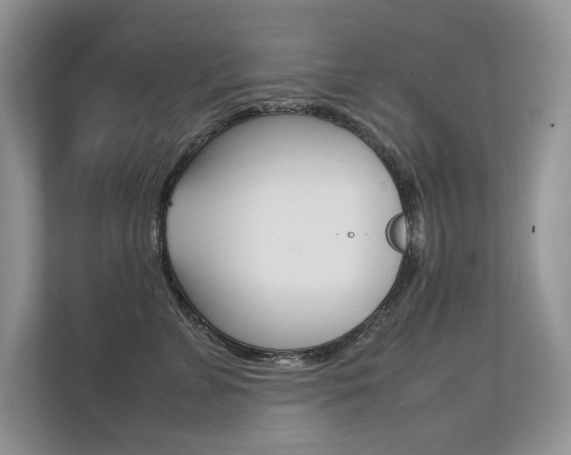 X0000112400715200908141005