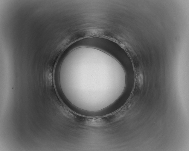 X0000112400716200908141005