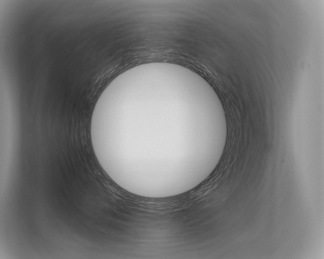 X0000112400720200908141005