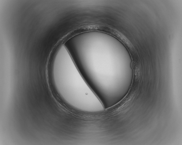 X0000112400722200908141004