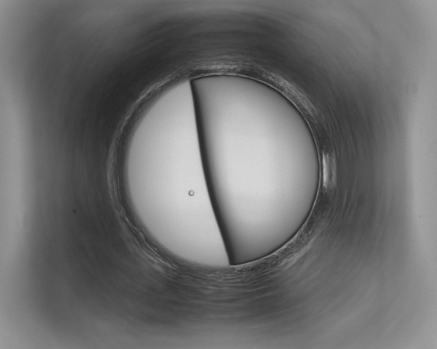 X0000112400723200908141004