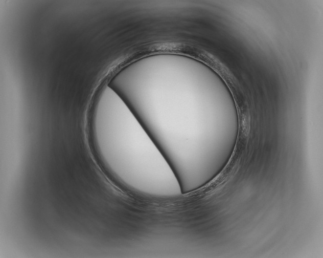 X0000112400725200908141005