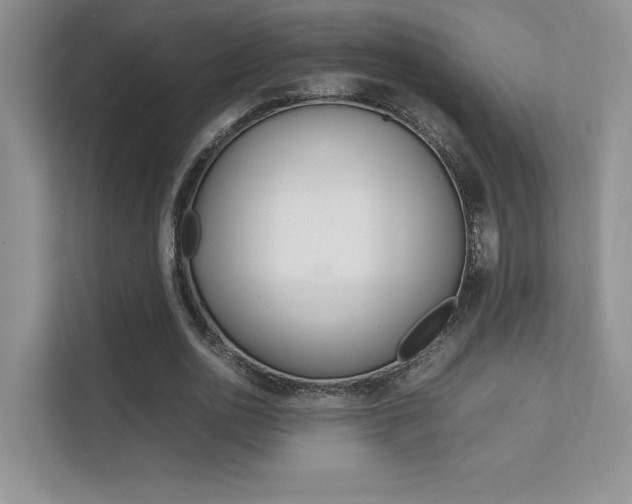 X0000112400726200908141005