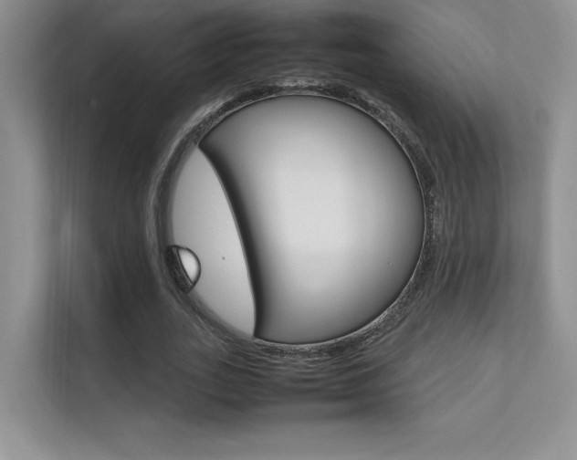 X0000112400727200908141005