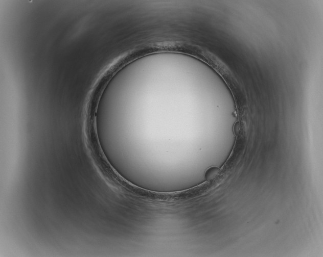 X0000112400728200908141005