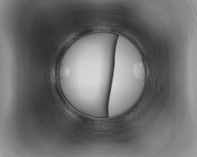 X0000112400729200908141005
