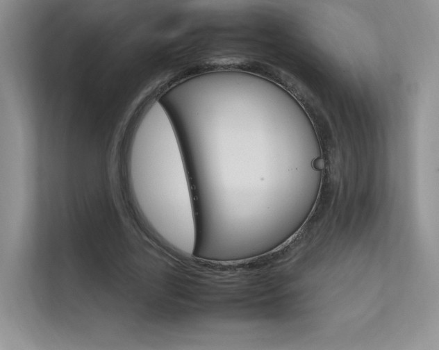 X0000112400731200908141005