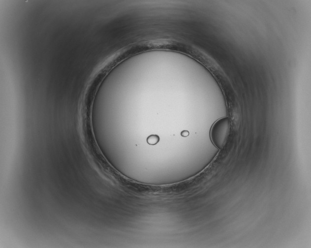 X0000112400732200908141005