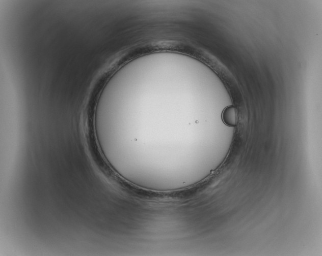 X0000112400734200908141005