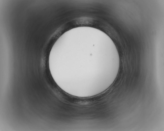 X0000112400735200908141005