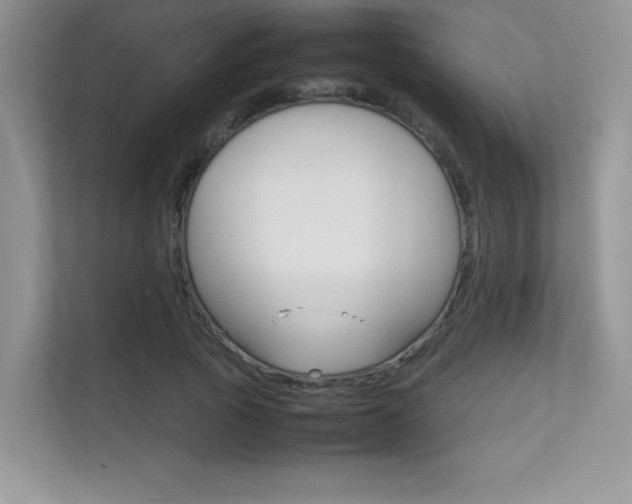X0000112400737200908141005