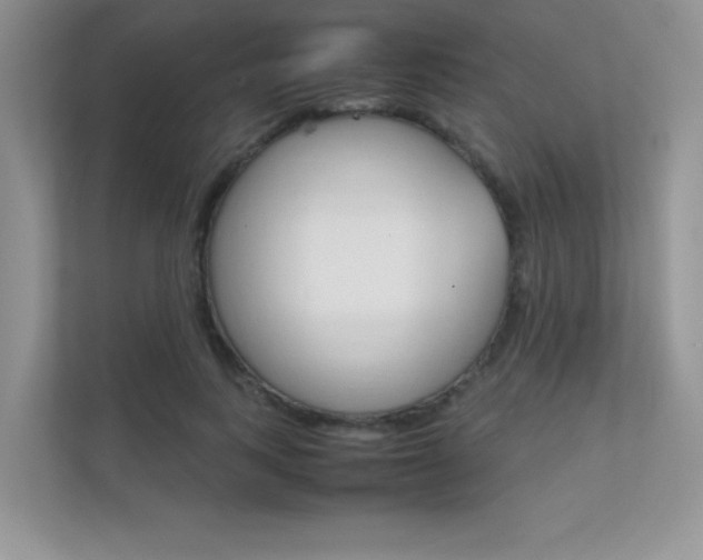 X0000112400743200908141005