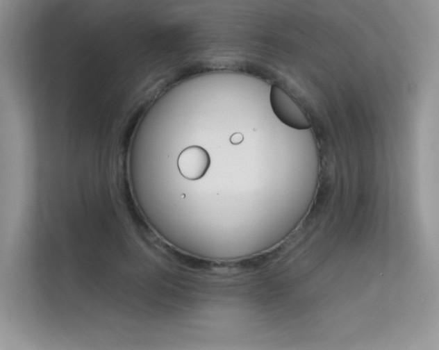 X0000112400744200908141005