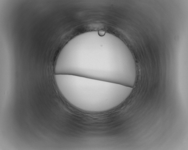 X0000112400745200908141005
