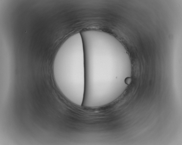 X0000112400747200908141005