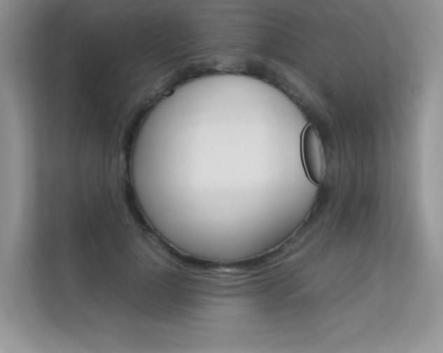 X0000112400748200908141005