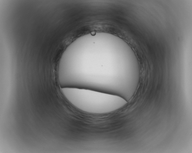 X0000112400749200908141005