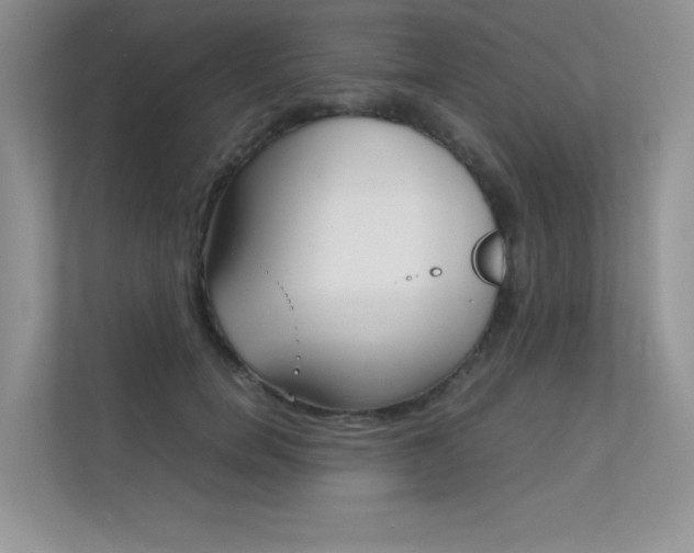 X0000112400750200908141005