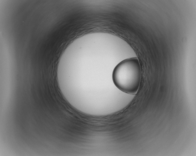 X0000112400752200908141005