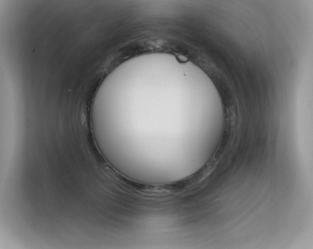 X0000112400754200908141005