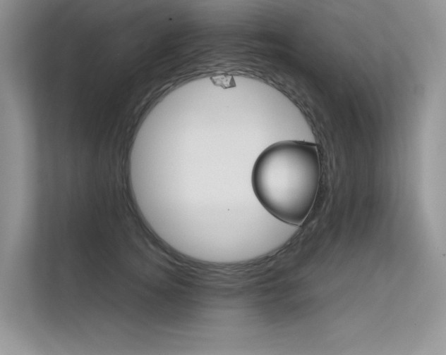 X0000112400756200908141005