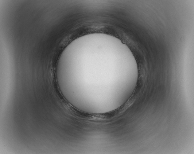 X0000112400758200908141005