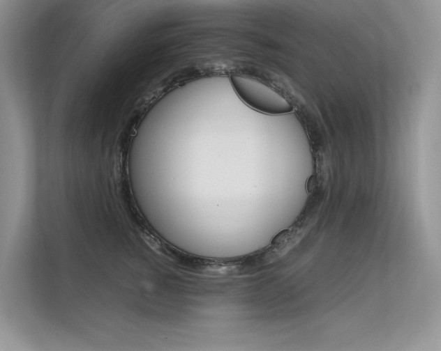 X0000112400760200908141005