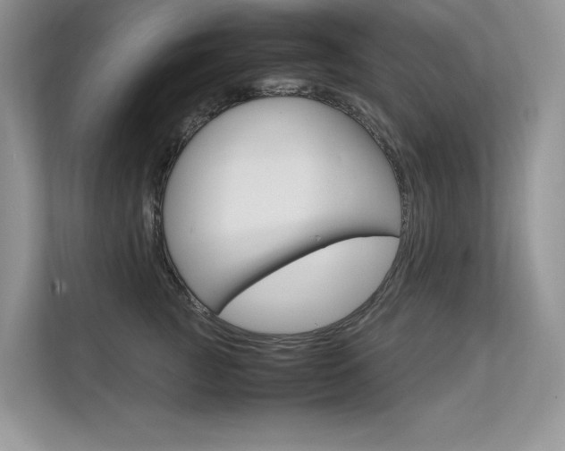 X0000112400761200908141005