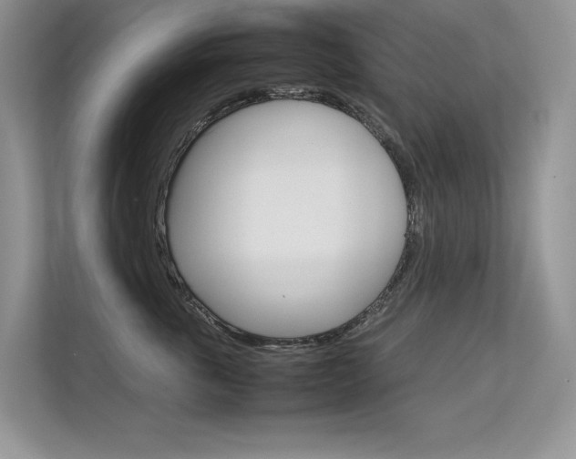 X0000112400763200908141005
