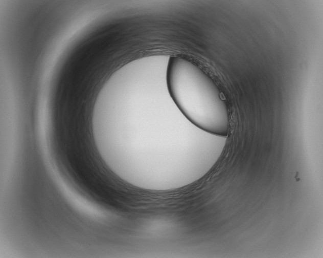 X0000112400764200908141005